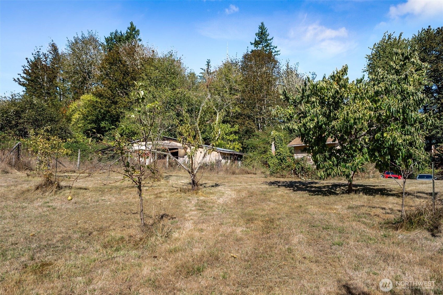 662 Cline Road , Randle, WA 98377