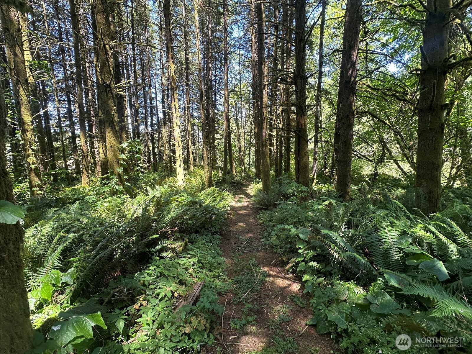 1895 North Fork Road , Chehalis, WA 98532