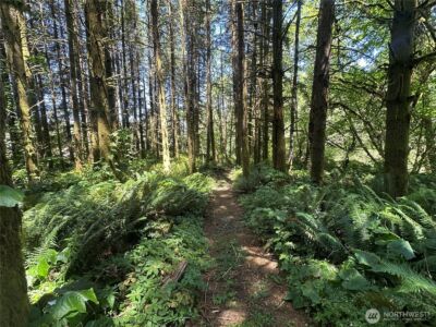 1895 North Fork Road , Chehalis, WA 98532 - Photo 36