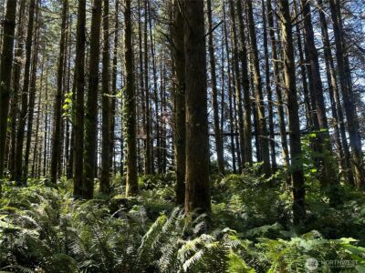 1895 North Fork Road , Chehalis, WA 98532 - Photo 37