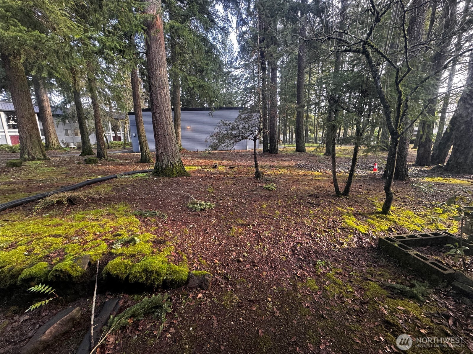 8637 Zircon Drive SW #S2, Tacoma, WA 98498