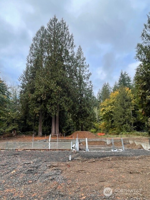 9801 Kelly Road NE, Carnation, WA 98014