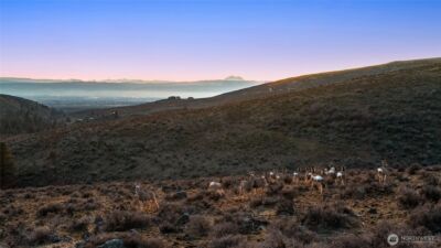 6083 Secret Canyon Road , Ellensburg, WA 98926 - Photo 40