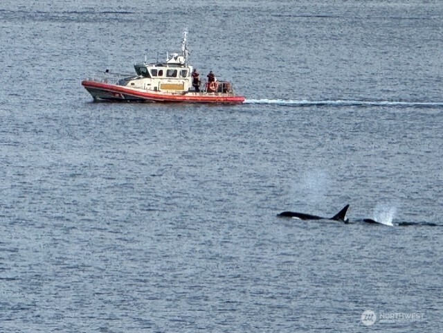 1374 Alki Avenue SW #400, Seattle, WA 98116