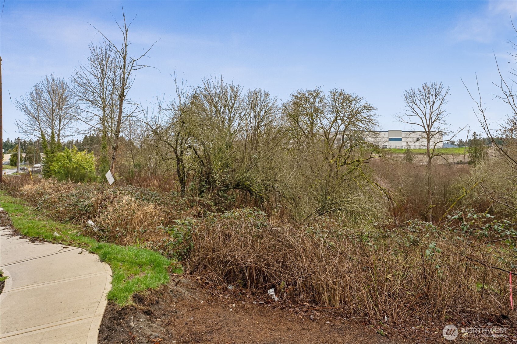 98 5th Avenue , Milton, WA 98354
