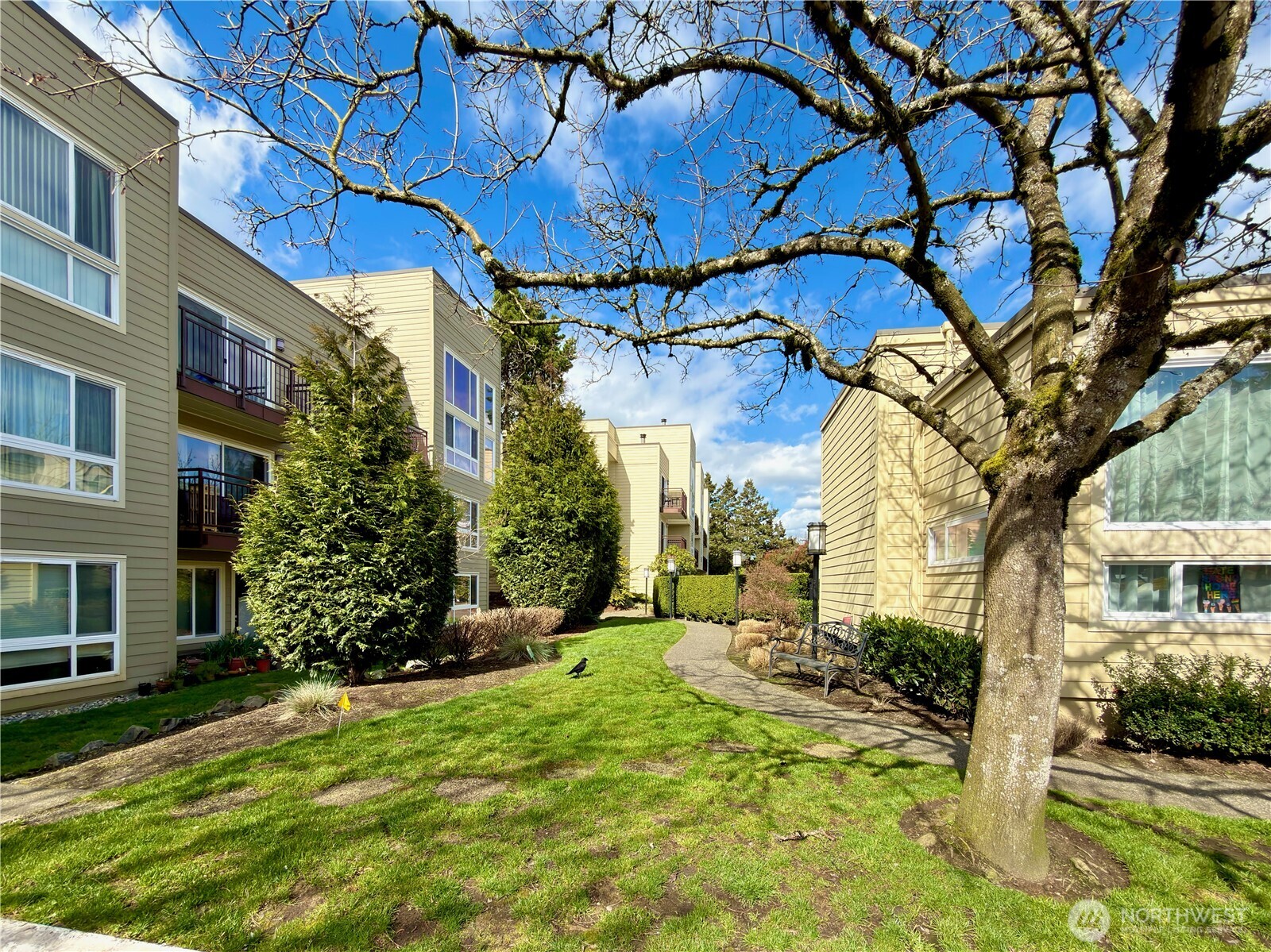 5834 NE 75th Street #B202, Seattle, WA 98115