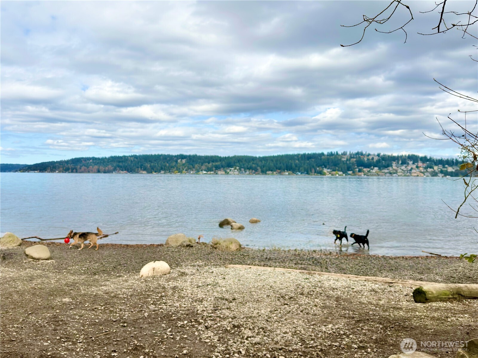 5834 NE 75th Street #B202, Seattle, WA 98115