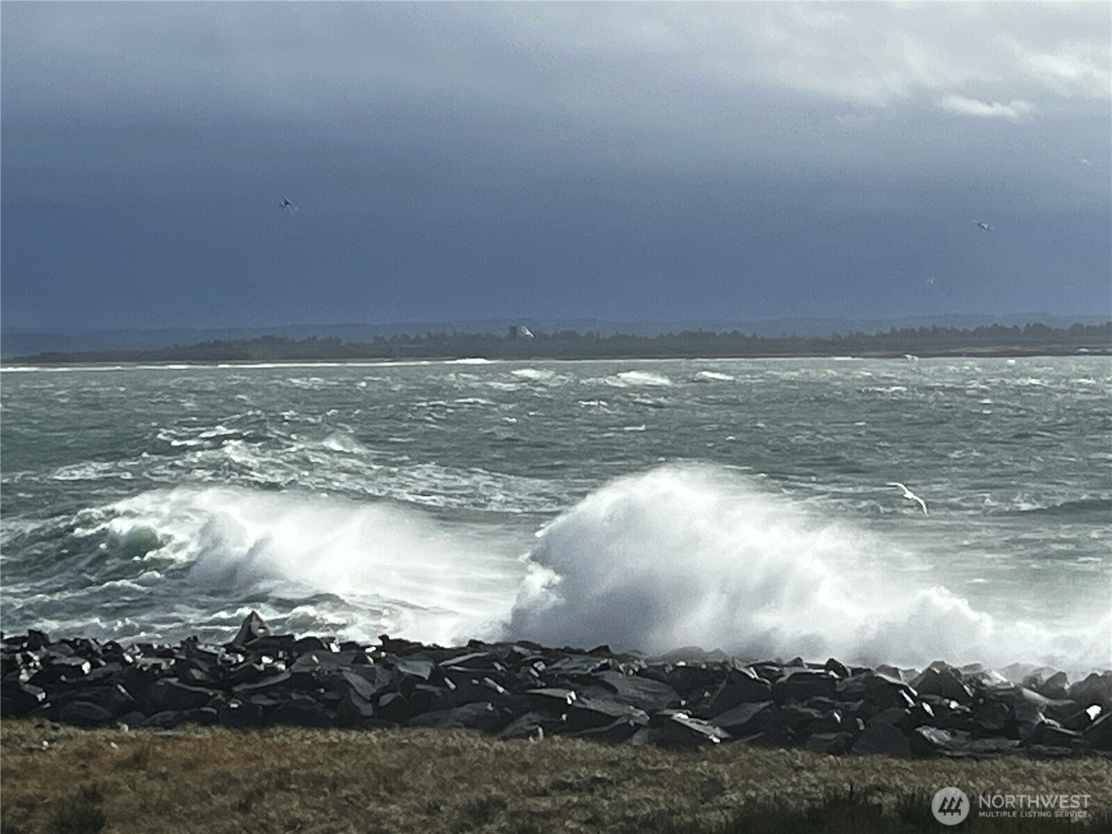 401 Westport View Street SW #502, Ocean Shores, WA 98569