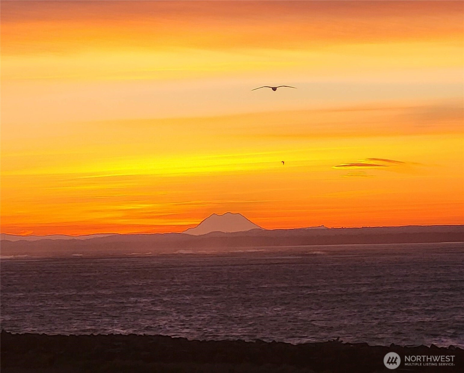 401 Westport View Street SW #502, Ocean Shores, WA 98569