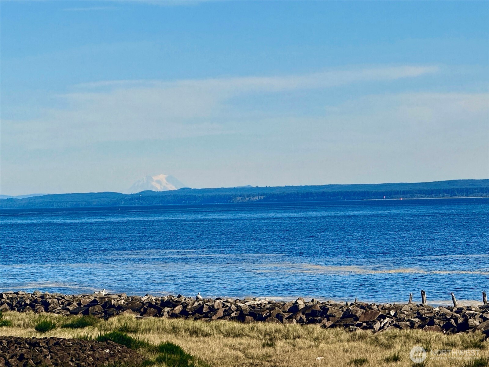 401 Westport View Street SW #502, Ocean Shores, WA 98569