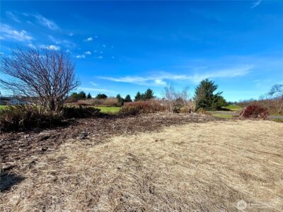 299 Octopus Avenue NE, Ocean Shores, WA 98569 - Photo 33