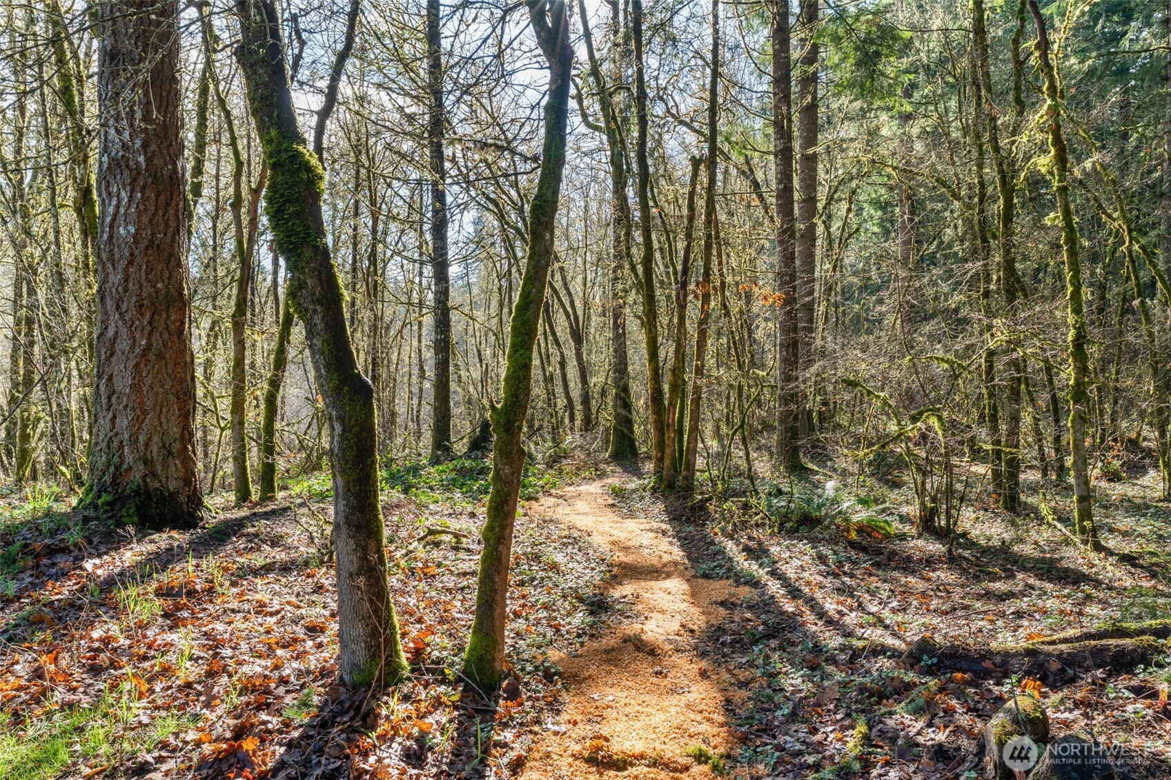 5008 Dodjatree Lane SE, Olympia, WA 98501