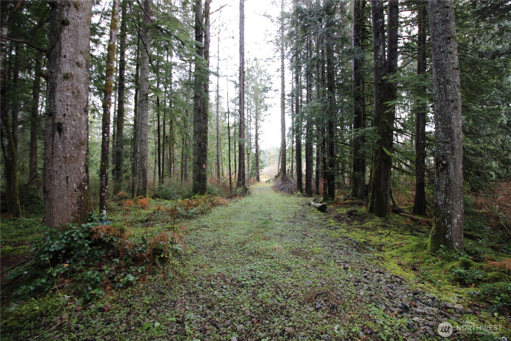 0 364th Avenue SE #9015, Maple Valley, WA 98038