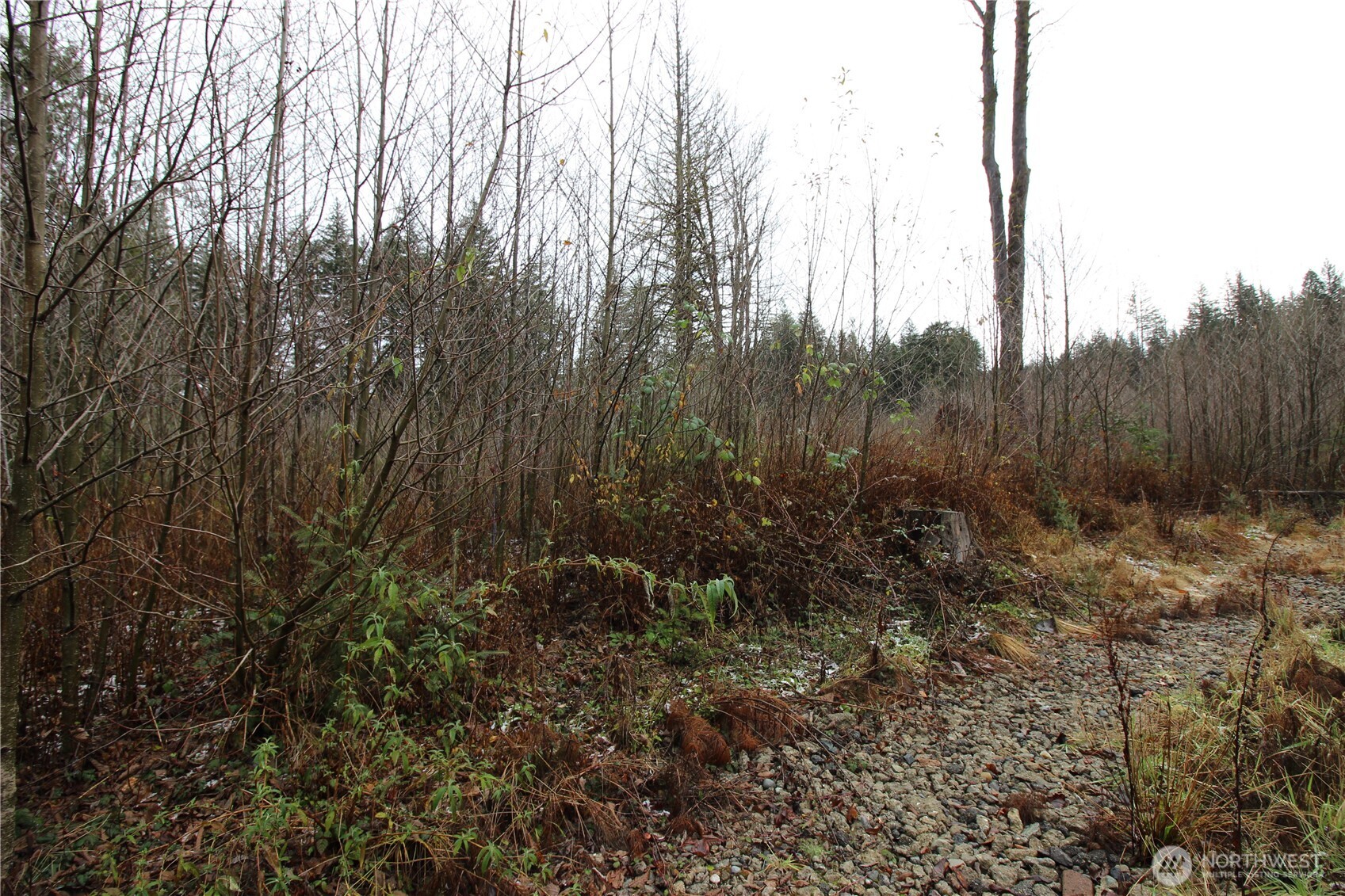 0 364th Avenue SE #9015, Maple Valley, WA 98038