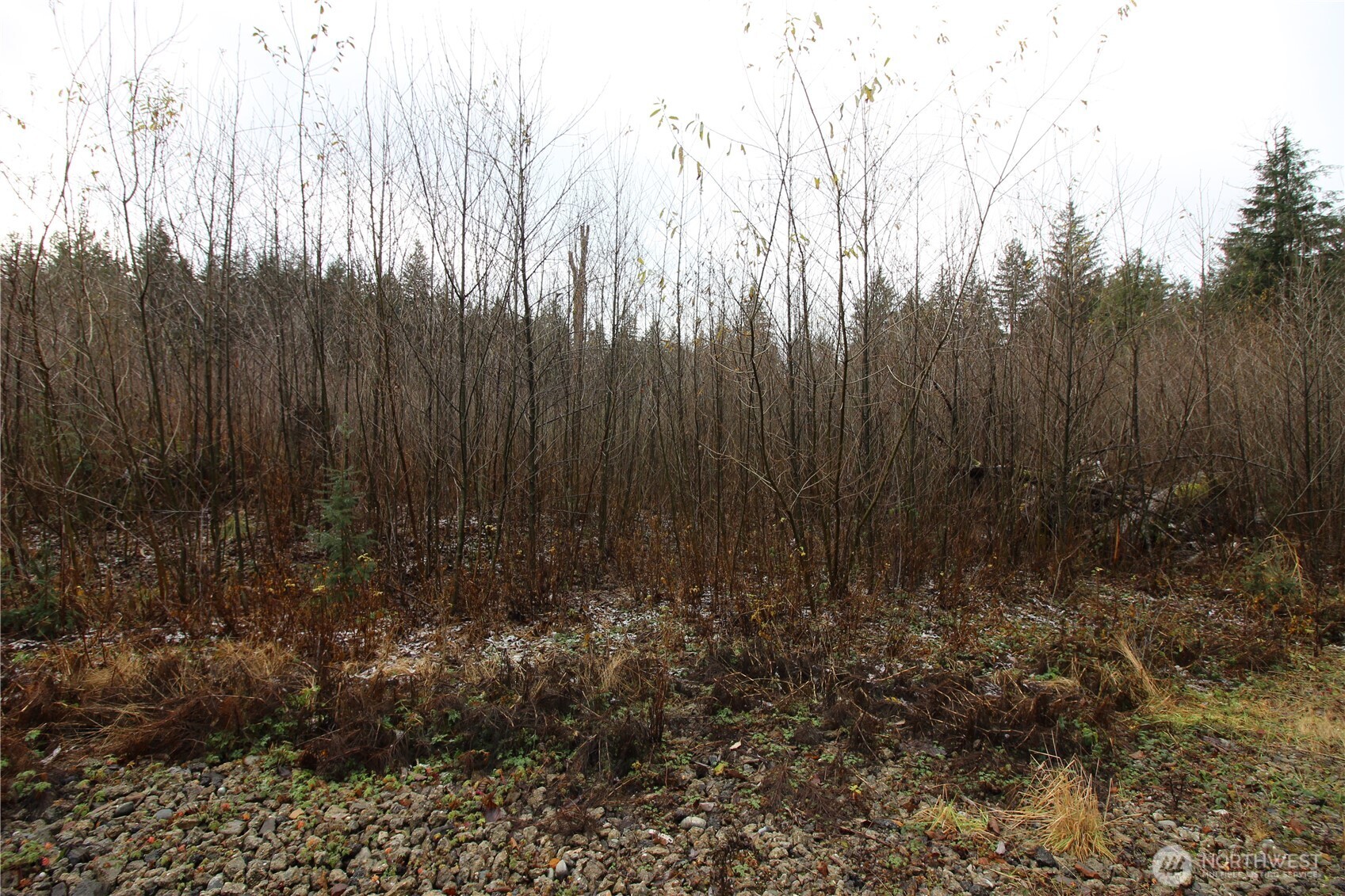 0 364th Avenue SE #9015, Maple Valley, WA 98038