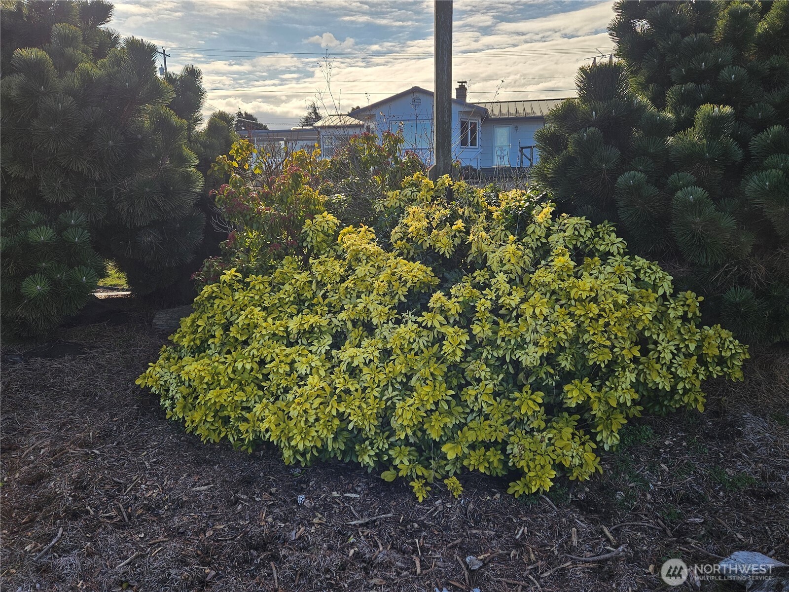 52 Libby Street , Sequim, WA 98382