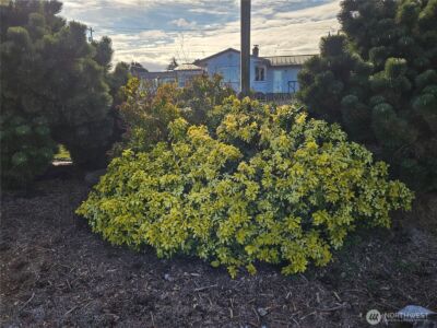 52 Libby Street , Sequim, WA 98382 - Photo 30