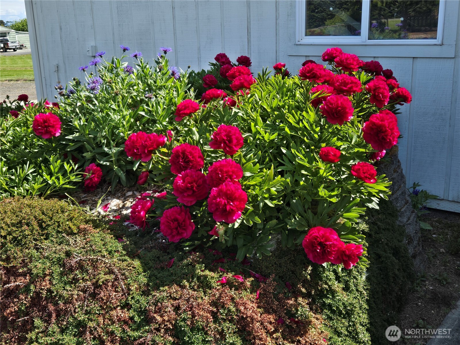 52 Libby Street , Sequim, WA 98382