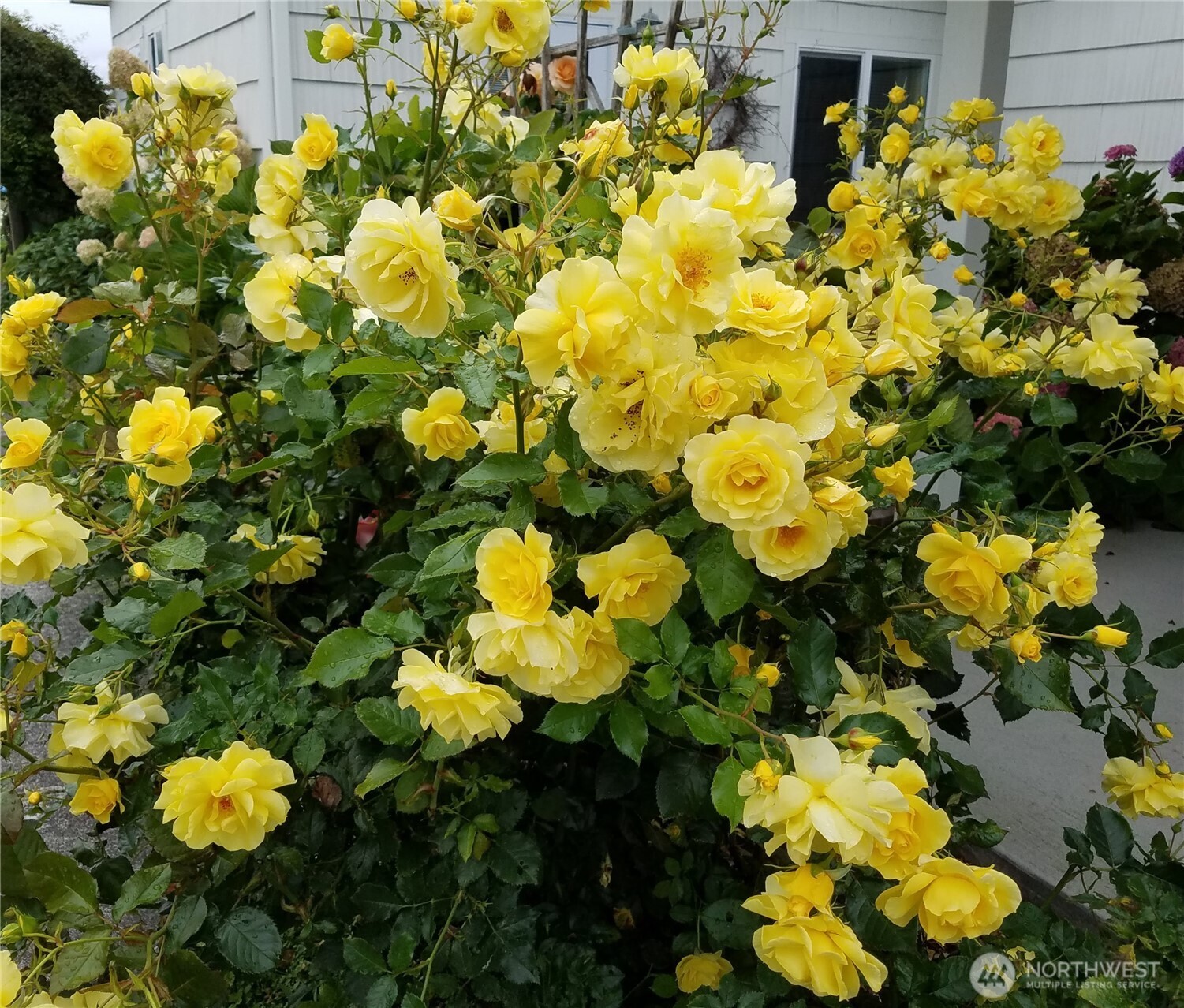 52 Libby Street , Sequim, WA 98382