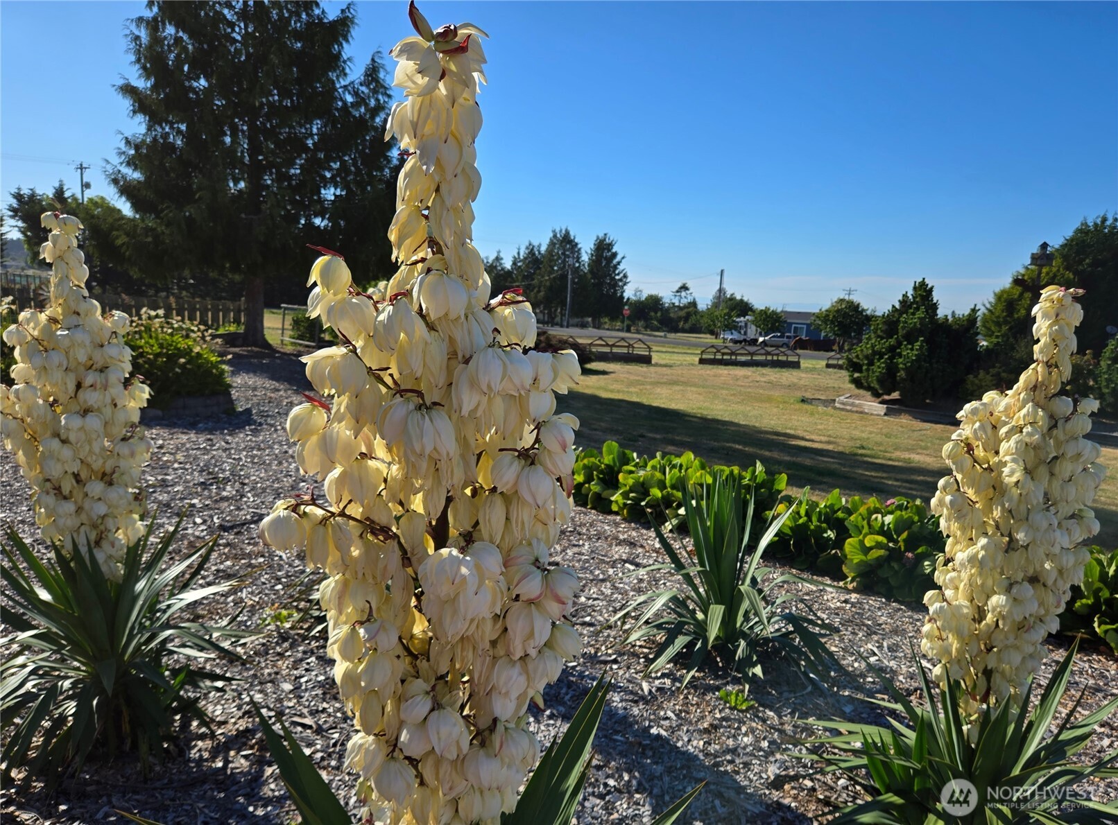 52 Libby Street , Sequim, WA 98382