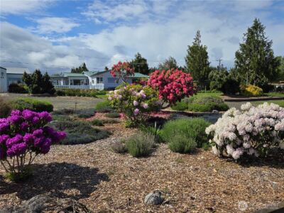 52 Libby Street , Sequim, WA 98382 - Photo 6