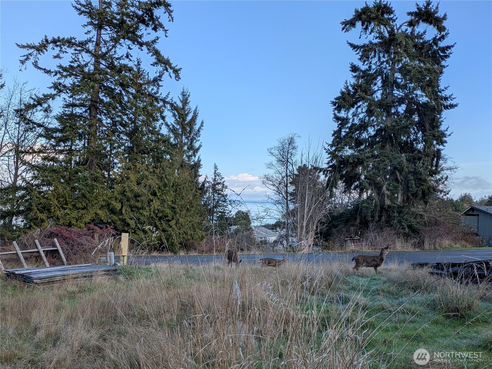 173 Island Vista Way , Port Angeles, WA 98362