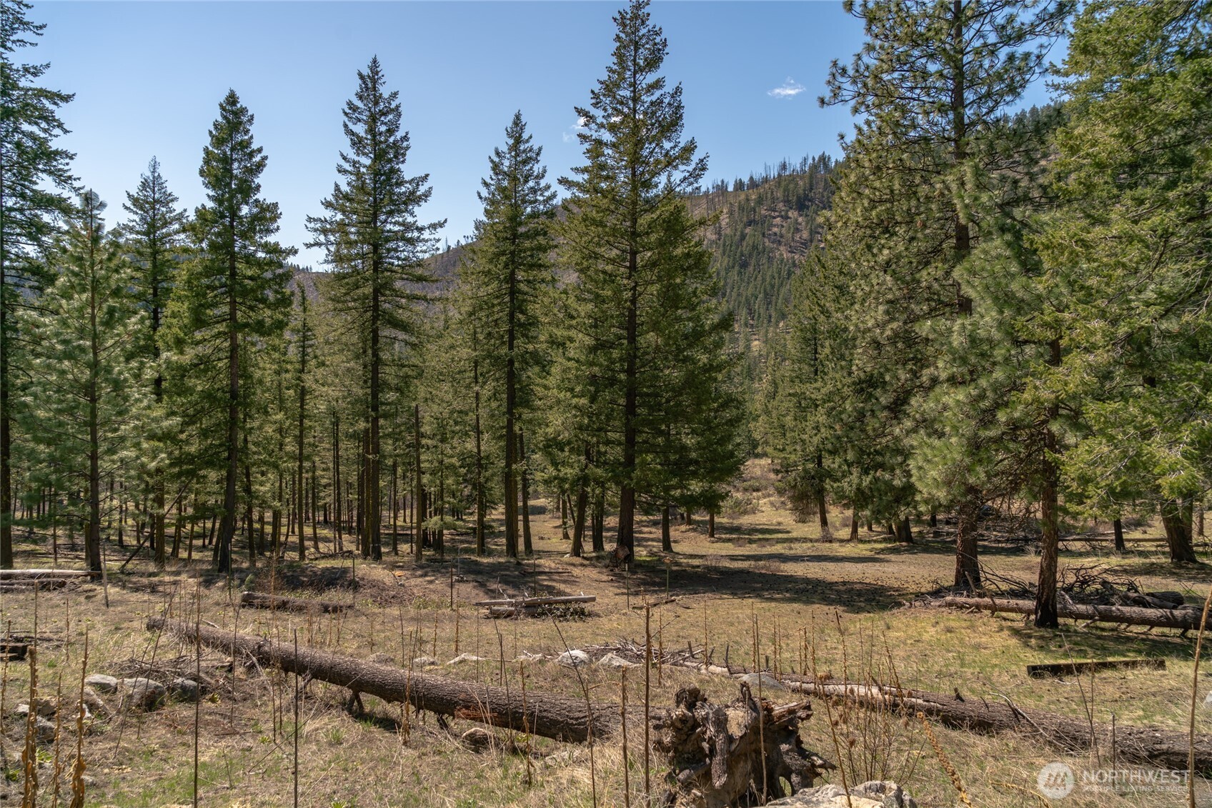 0 Granite Creek , Chelan, WA 98816