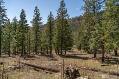 0 Granite Creek , Chelan, WA 98816 - Photo 19