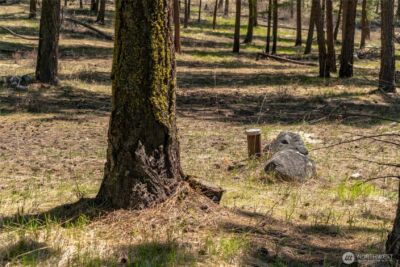 0 Granite Creek , Chelan, WA 98816 - Photo 23