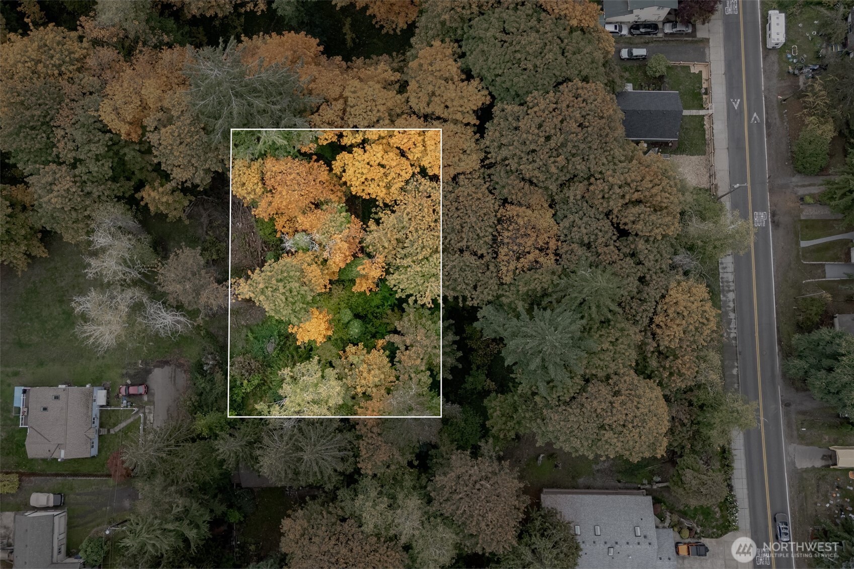 1203 Bowman Avenue NW, Olympia, WA 98502