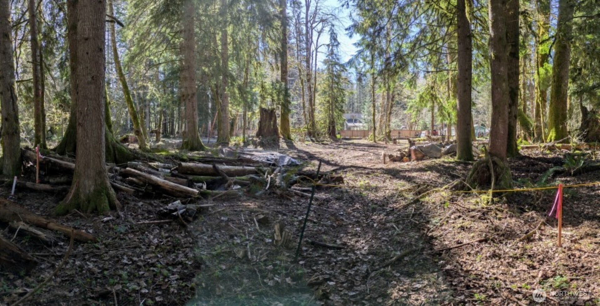 55912 317th Avenue E, Ashford, WA 98304