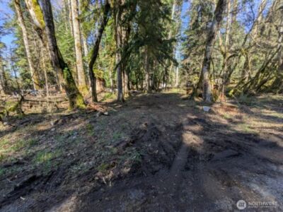 55912 317th Avenue E, Ashford, WA 98304 - Photo 12