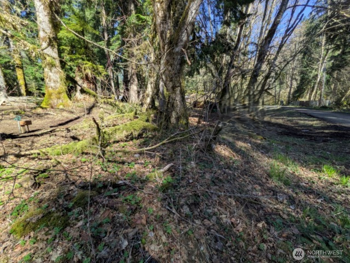 55912 317th Avenue E, Ashford, WA 98304