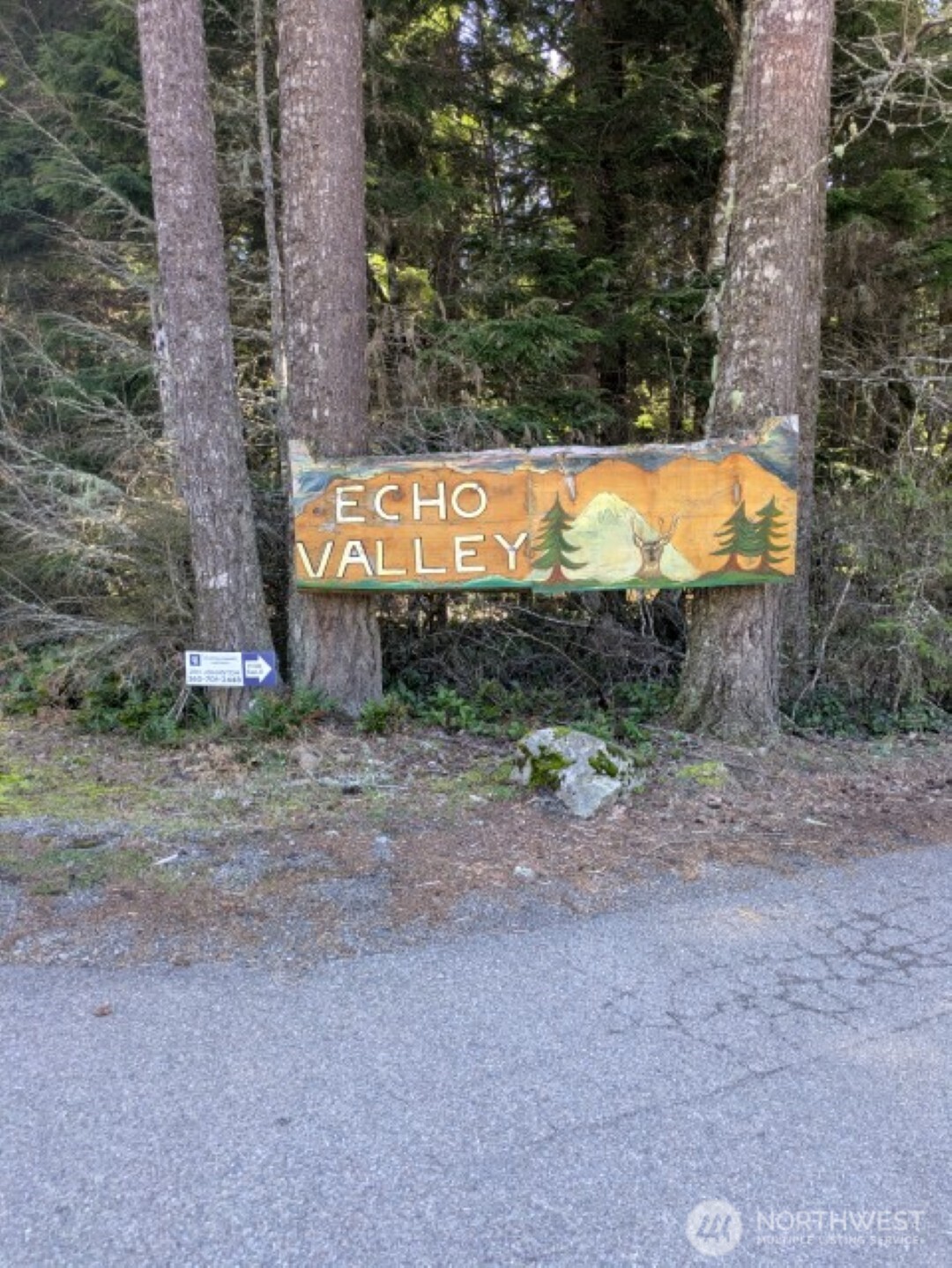 55912 317th Avenue E, Ashford, WA 98304