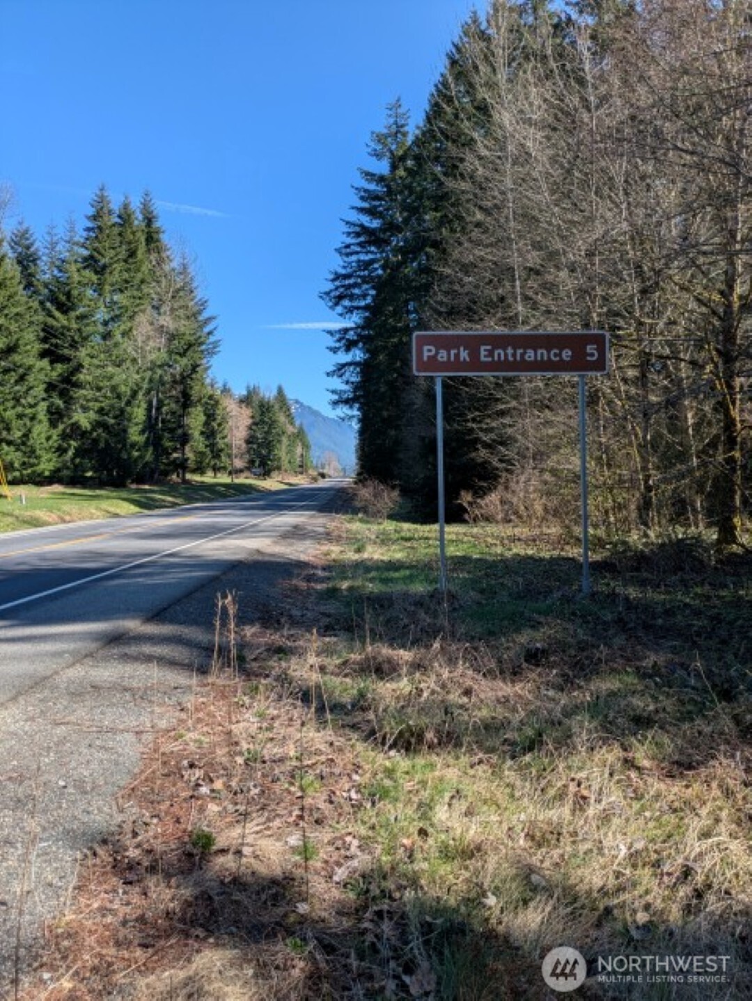 55912 317th Avenue E, Ashford, WA 98304