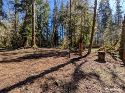 55912 317th Avenue E, Ashford, WA 98304 - Photo 3