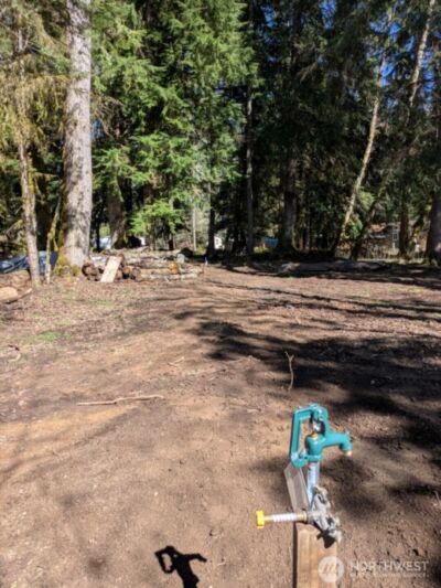 55912 317th Avenue E, Ashford, WA 98304 - Photo 5