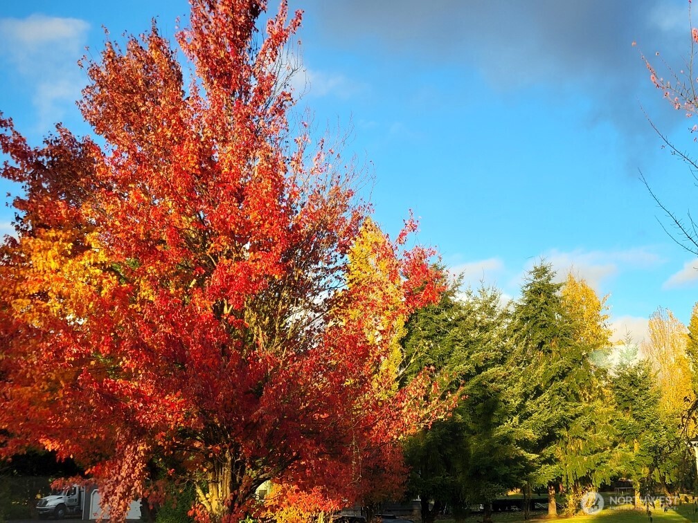 108 Hilley Drive , Chehalis, WA 98532