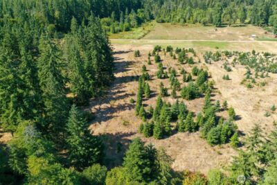 7123 115th Avenue SW, Olympia, WA 98512 - Photo 13