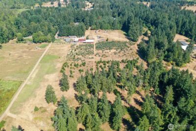 7123 115th Avenue SW, Olympia, WA 98512 - Photo 20