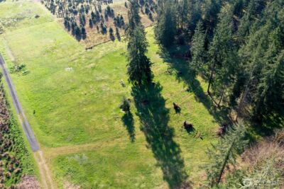 7123 115th Avenue SW, Olympia, WA 98512 - Photo 27