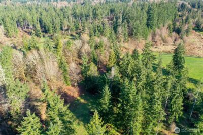 7123 115th Avenue SW, Olympia, WA 98512 - Photo 29