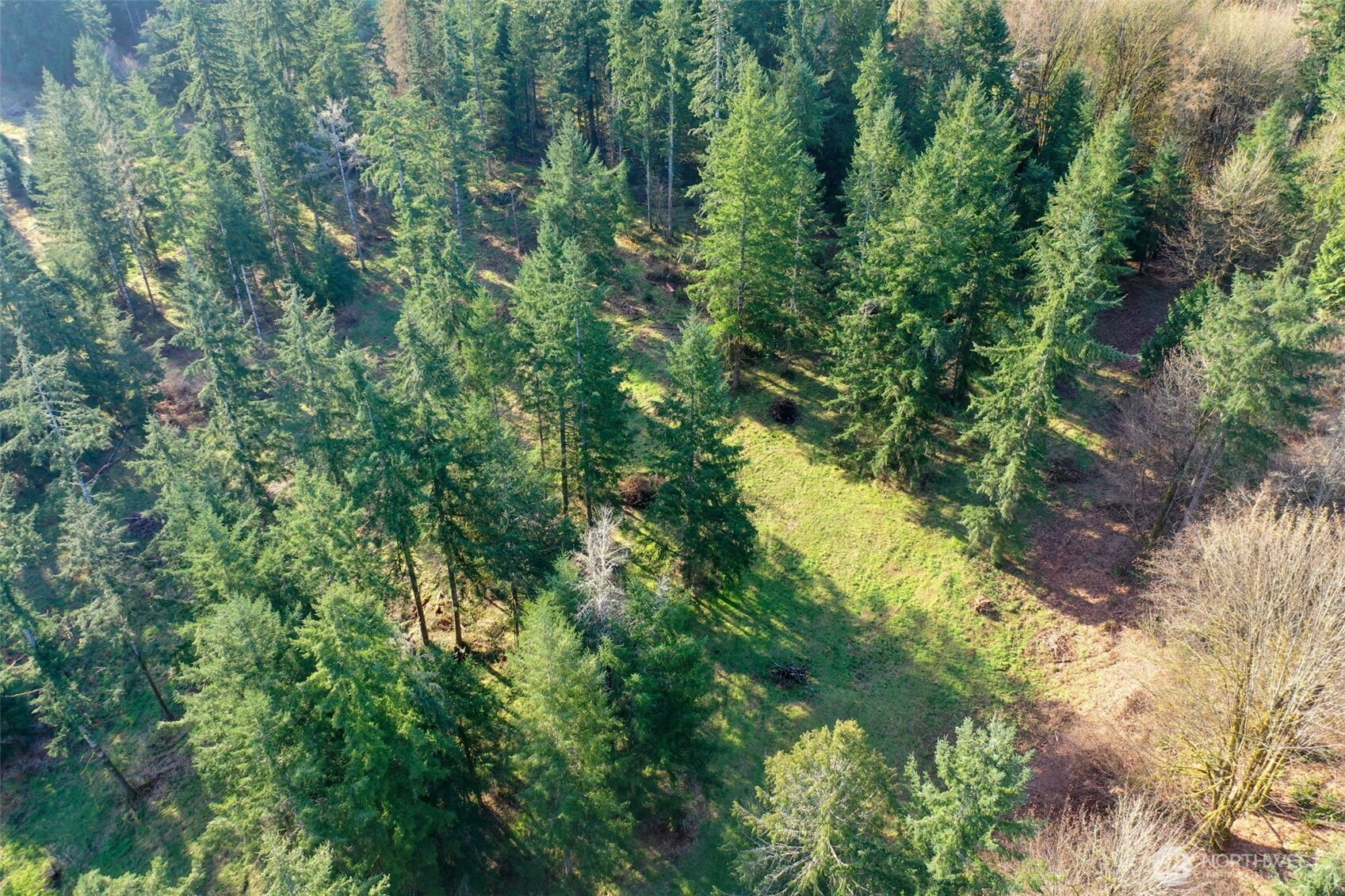 7123 115th Avenue SW, Olympia, WA 98512