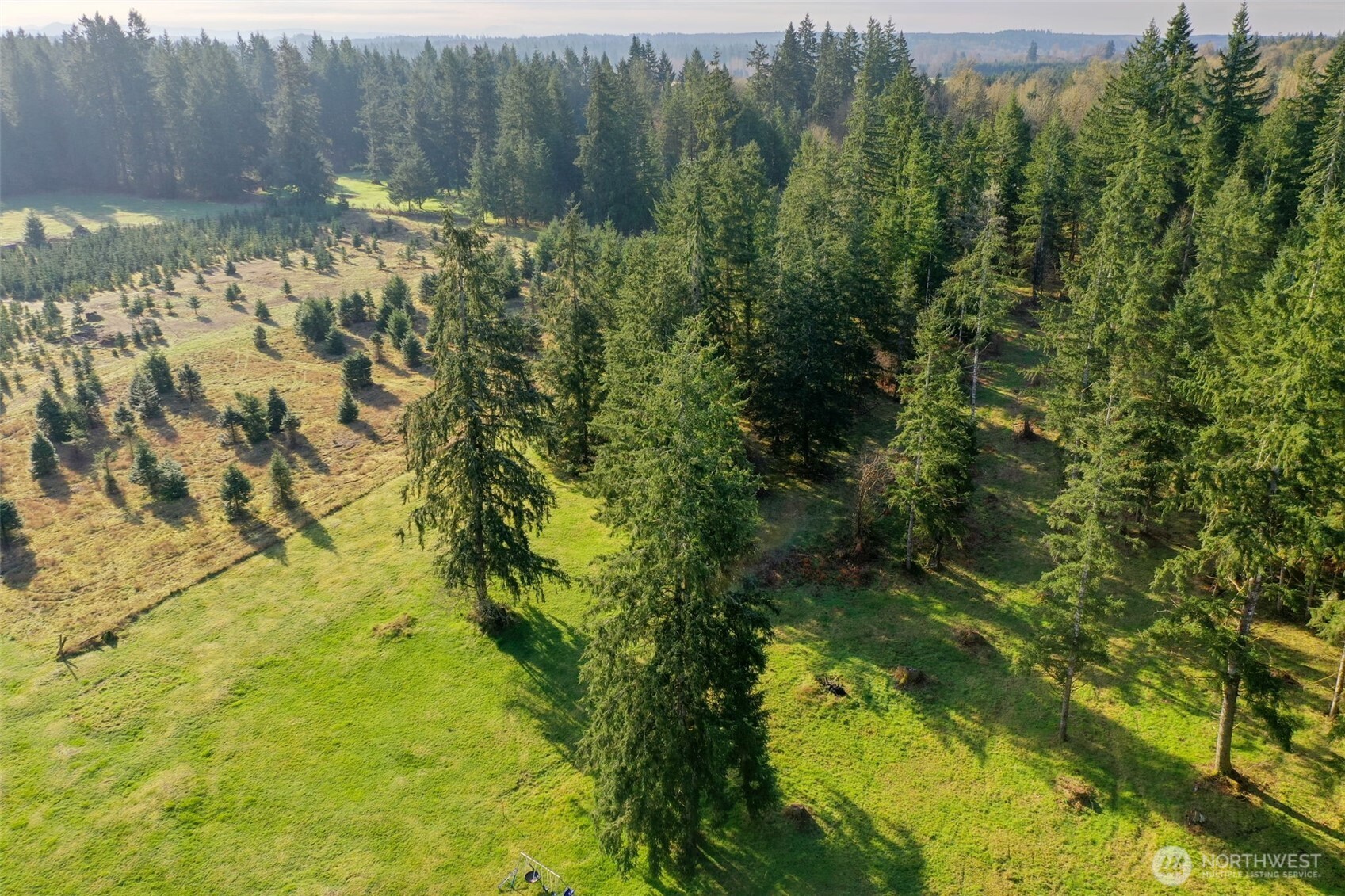 7123 115th Avenue SW, Olympia, WA 98512