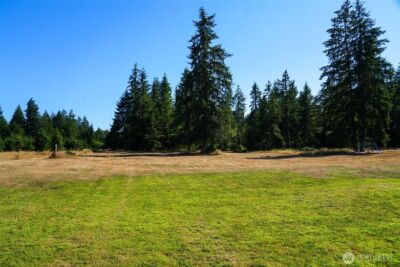 7123 115th Avenue SW, Olympia, WA 98512 - Photo 6