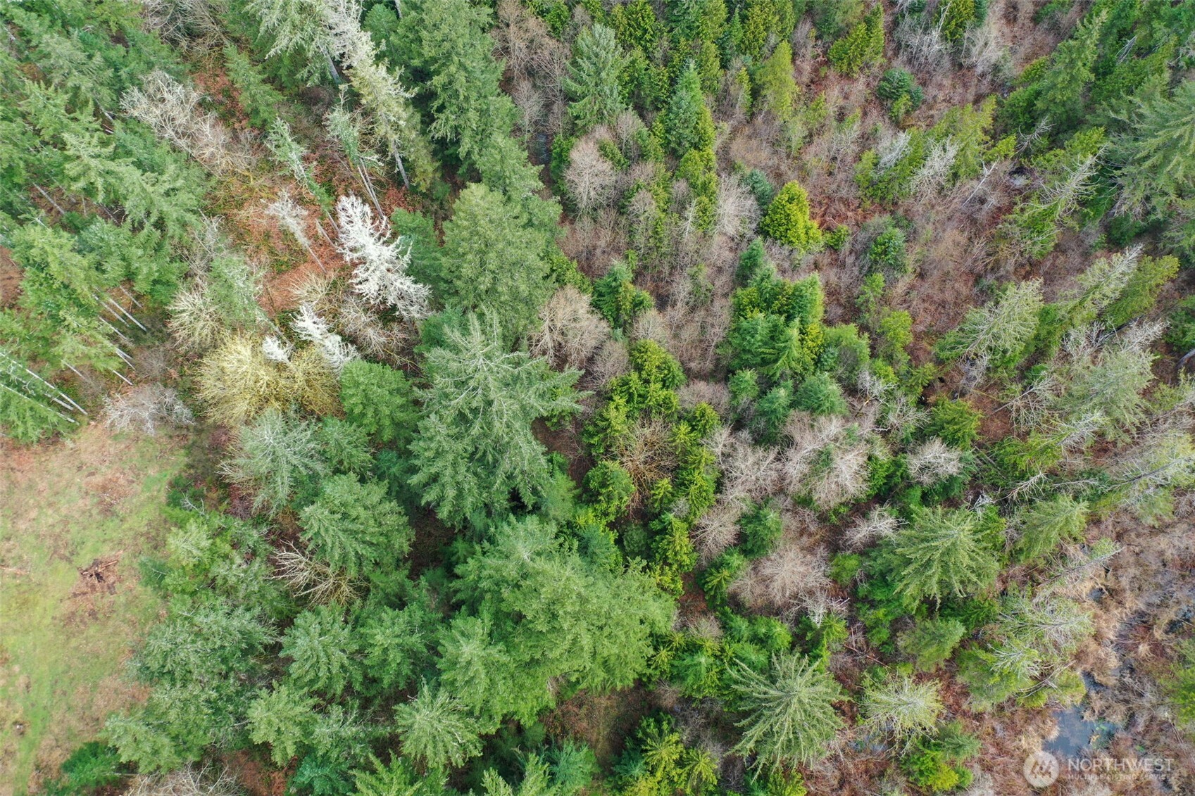 7128 115th Avenue SW, Olympia, WA 98512