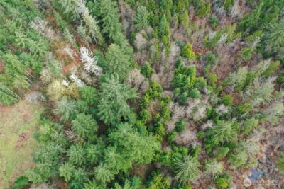 7128 115th Avenue SW, Olympia, WA 98512 - Photo 11