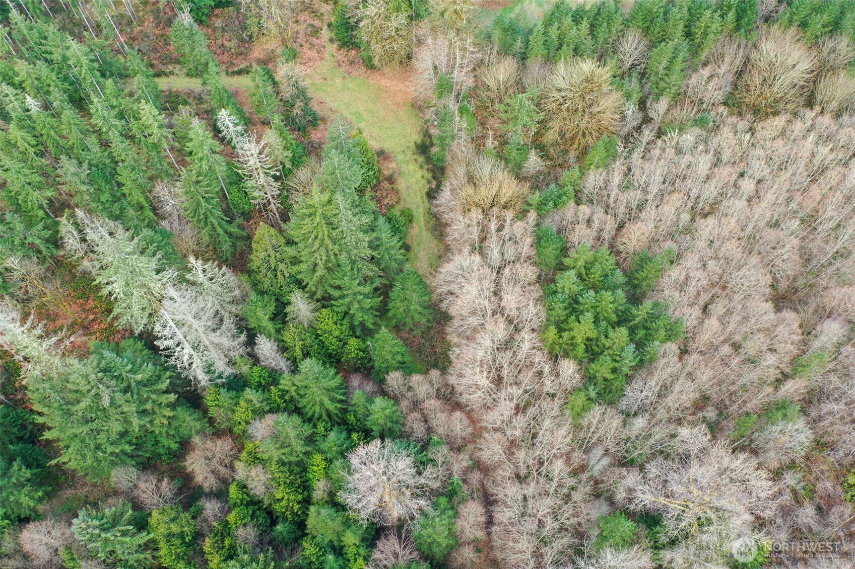 7128 115th Avenue SW, Olympia, WA 98512