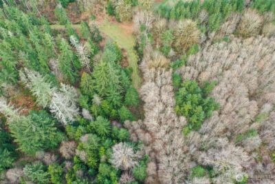 7128 115th Avenue SW, Olympia, WA 98512 - Photo 12