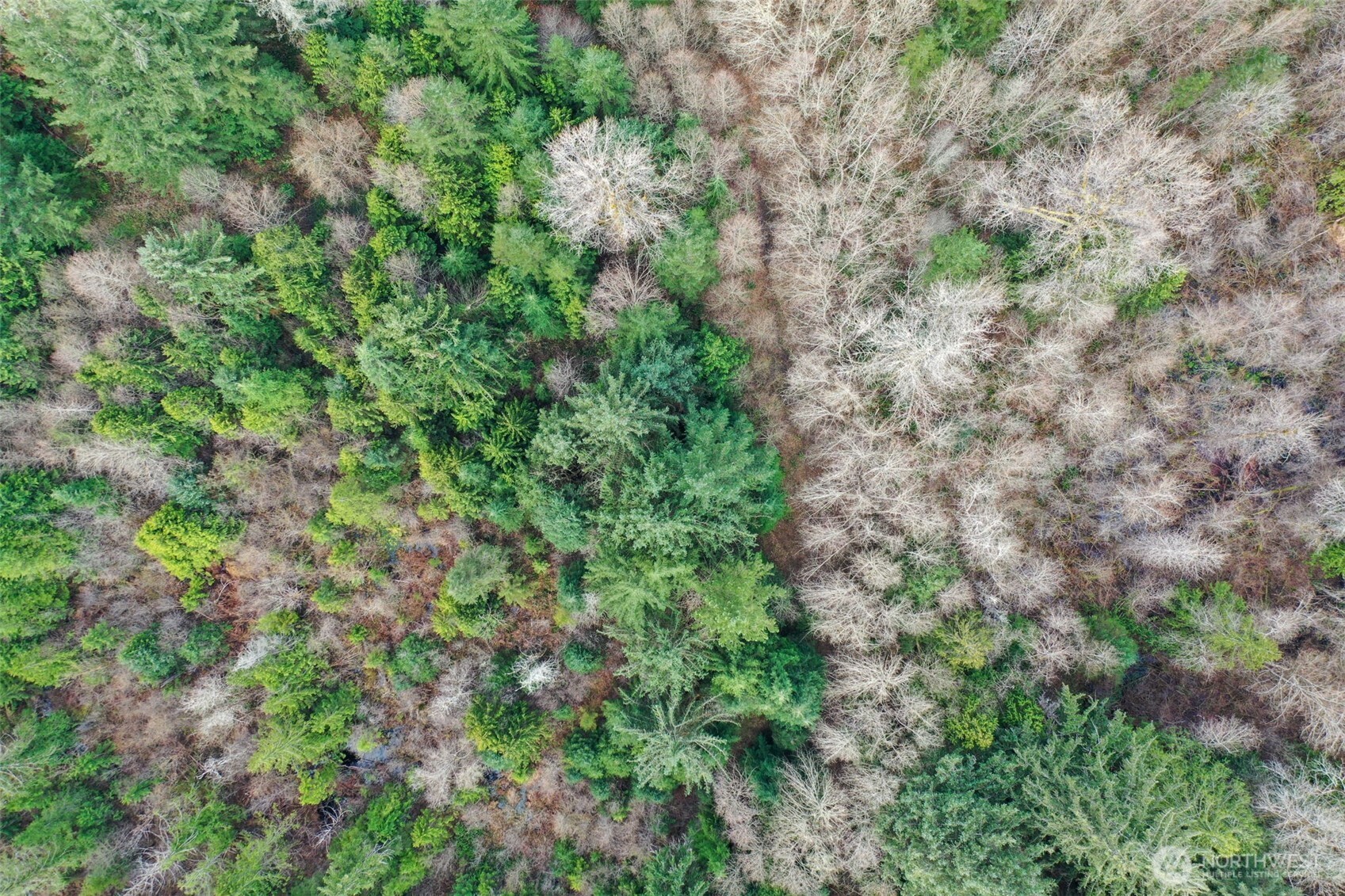 7128 115th Avenue SW, Olympia, WA 98512